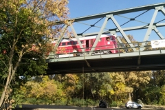 Algyo_20181004_05_resize